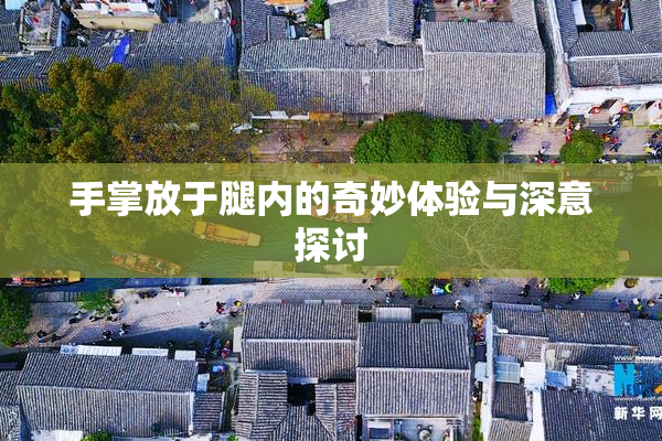 手掌放于腿内的奇妙体验与深意探讨