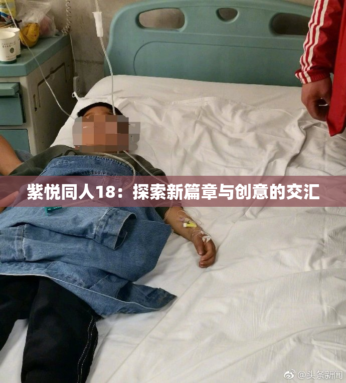 紫悦同人18：探索新篇章与创意的交汇