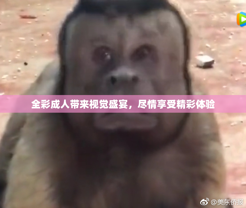 全彩成人带来视觉盛宴，尽情享受精彩体验