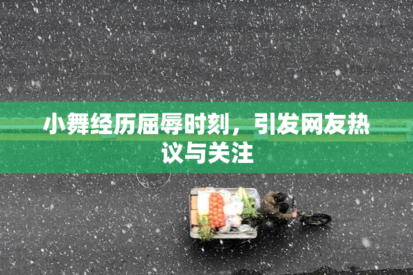 小舞经历屈辱时刻，引发网友热议与关注