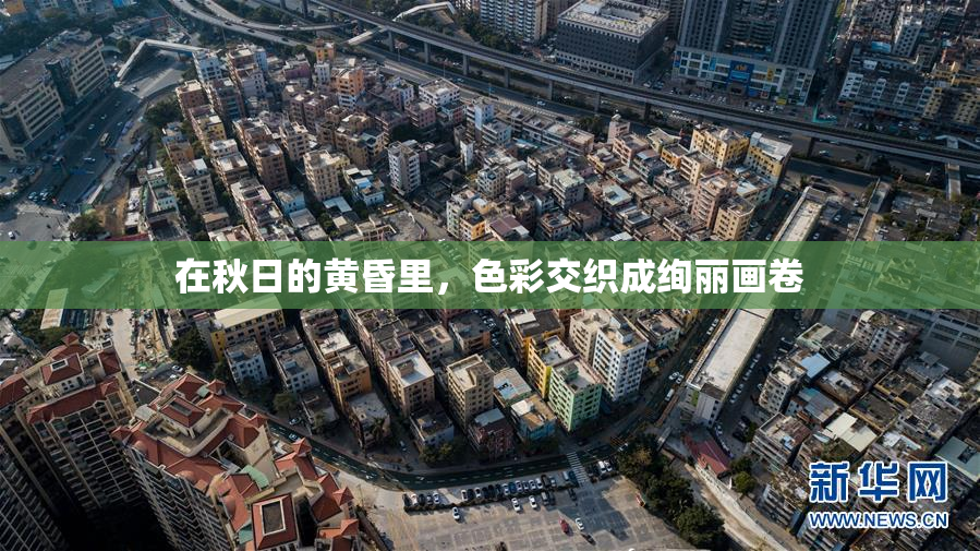 在秋日的黄昏里，色彩交织成绚丽画卷