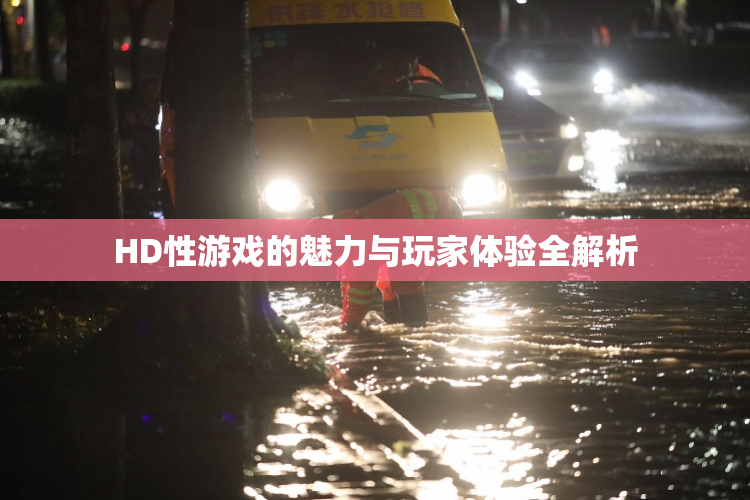 HD性游戏的魅力与玩家体验全解析