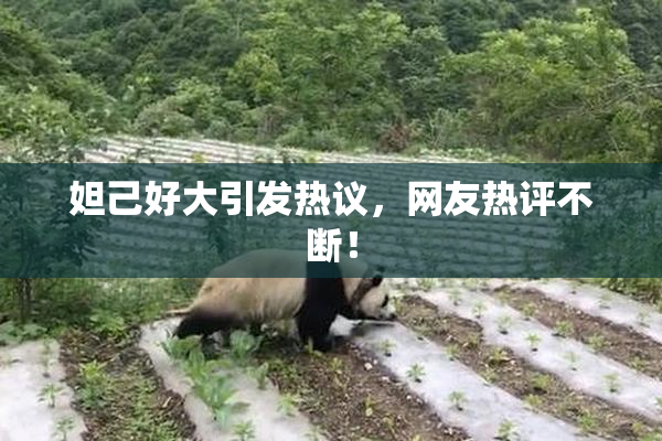 妲己好大引发热议，网友热评不断！