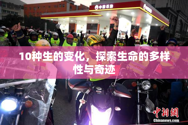 10种生的变化，探索生命的多样性与奇迹