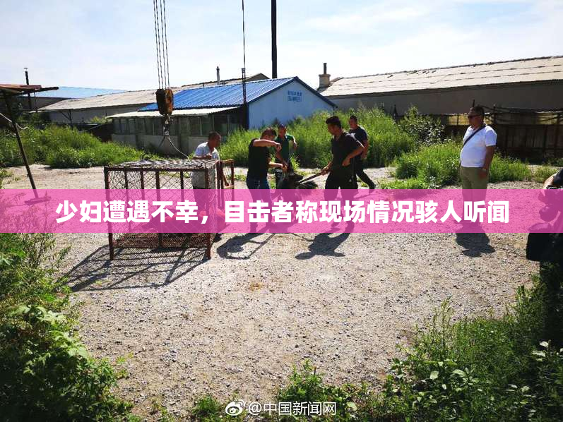 少妇遭遇不幸，目击者称现场情况骇人听闻