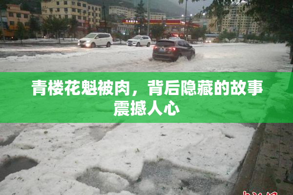 青楼花魁被肉，背后隐藏的故事震撼人心