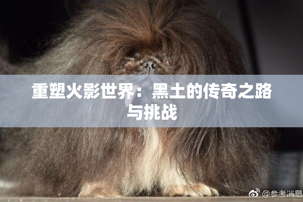 重塑火影世界：黑土的传奇之路与挑战