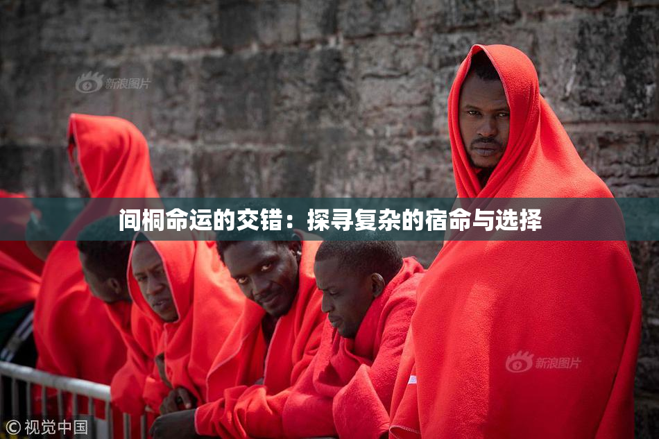 间桐命运的交错：探寻复杂的宿命与选择