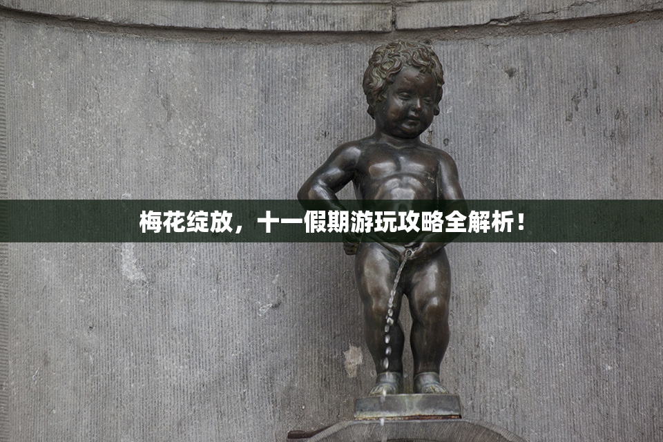 梅花绽放，十一假期游玩攻略全解析！