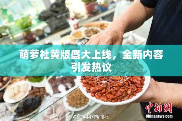 萌萝社黄版盛大上线，全新内容引发热议