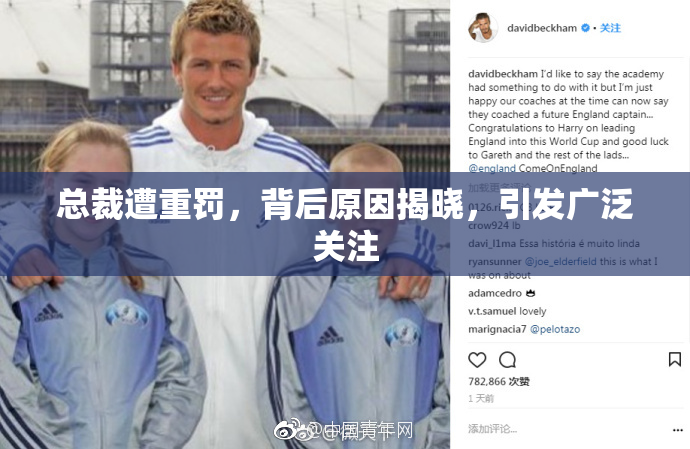 总裁遭重罚，背后原因揭晓，引发广泛关注