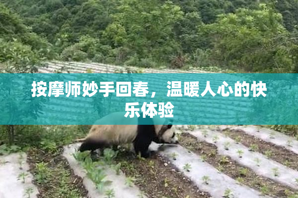 按摩师妙手回春，温暖人心的快乐体验