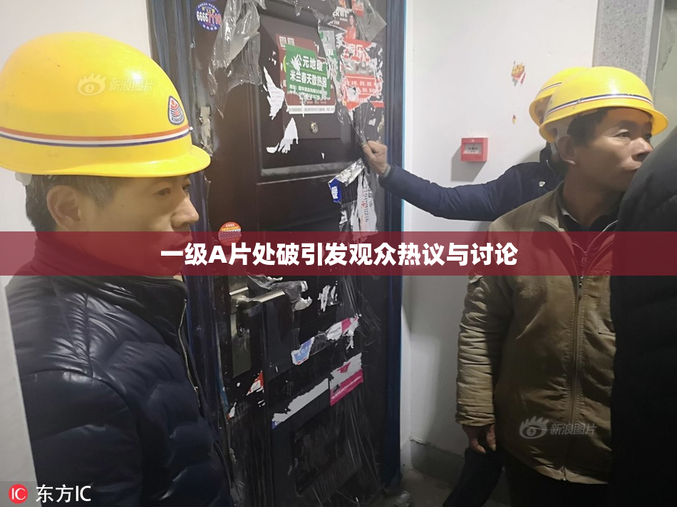 一级A片处破引发观众热议与讨论
