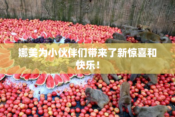娜美为小伙伴们带来了新惊喜和快乐！