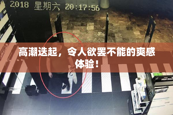 高潮迭起，令人欲罢不能的爽感体验！
