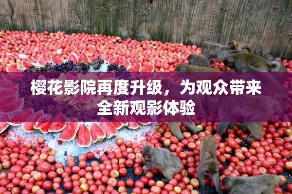 樱花影院再度升级，为观众带来全新观影体验