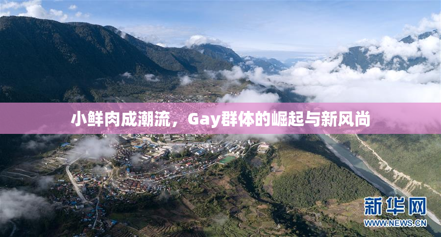 小鲜肉成潮流，Gay群体的崛起与新风尚