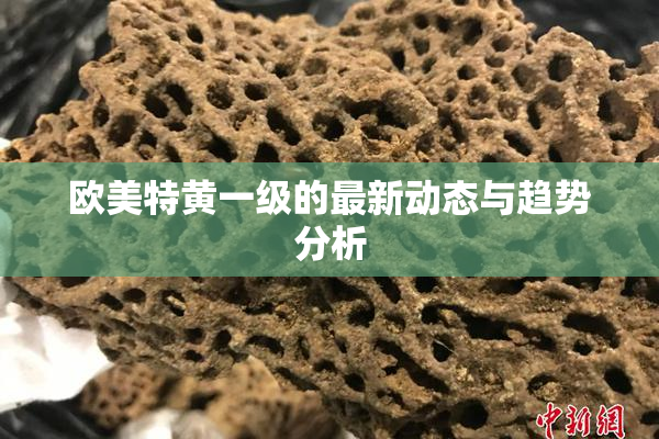 欧美特黄一级的最新动态与趋势分析