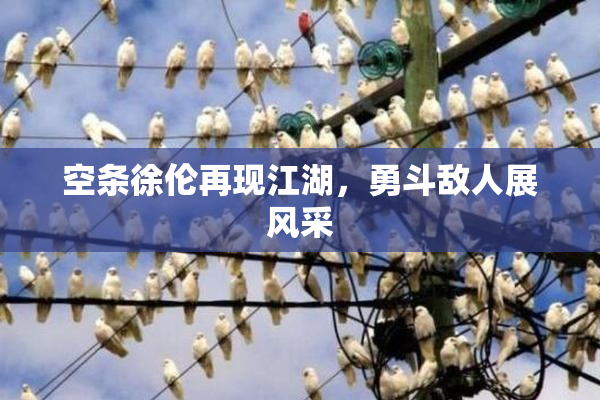 空条徐伦再现江湖，勇斗敌人展风采
