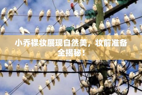 小乔裸妆展现自然美，妆前准备全揭秘！