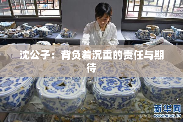 沈公子：背负着沉重的责任与期待