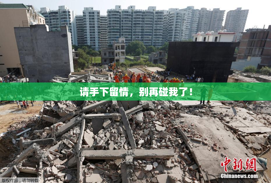 请手下留情，别再碰我了！