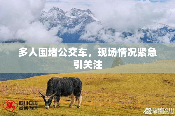 多人围堵公交车，现场情况紧急引关注