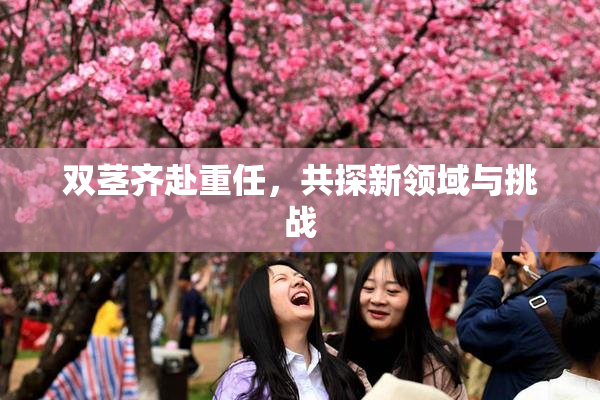 双茎齐赴重任，共探新领域与挑战