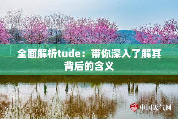 全面解析tude：带你深入了解其背后的含义