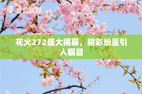 花火272盛大揭幕，精彩纷呈引人瞩目