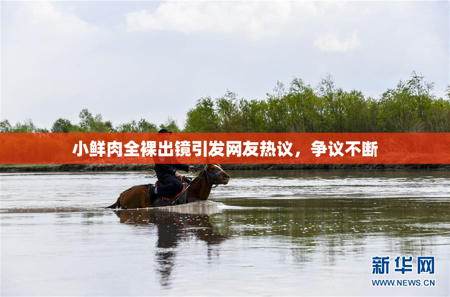 小鲜肉全裸出镜引发网友热议，争议不断