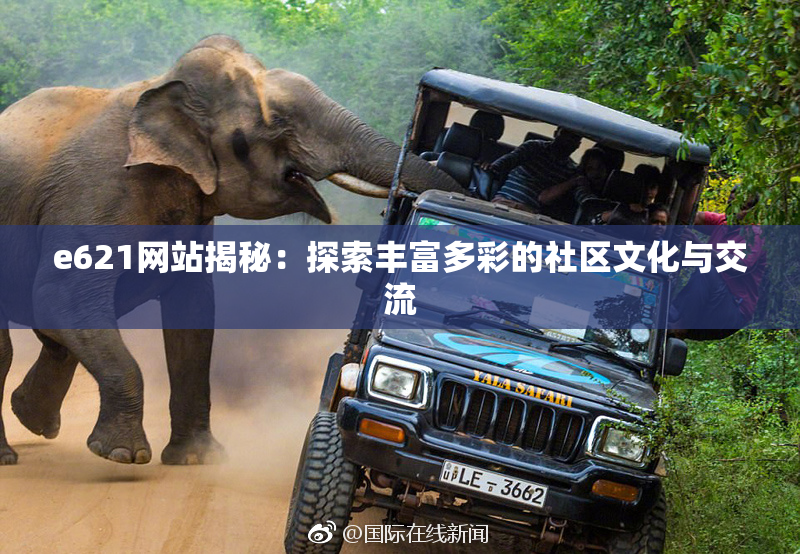 e621网站揭秘：探索丰富多彩的社区文化与交流