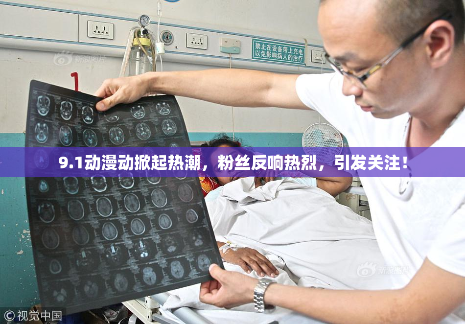 9.1动漫动掀起热潮，粉丝反响热烈，引发关注！