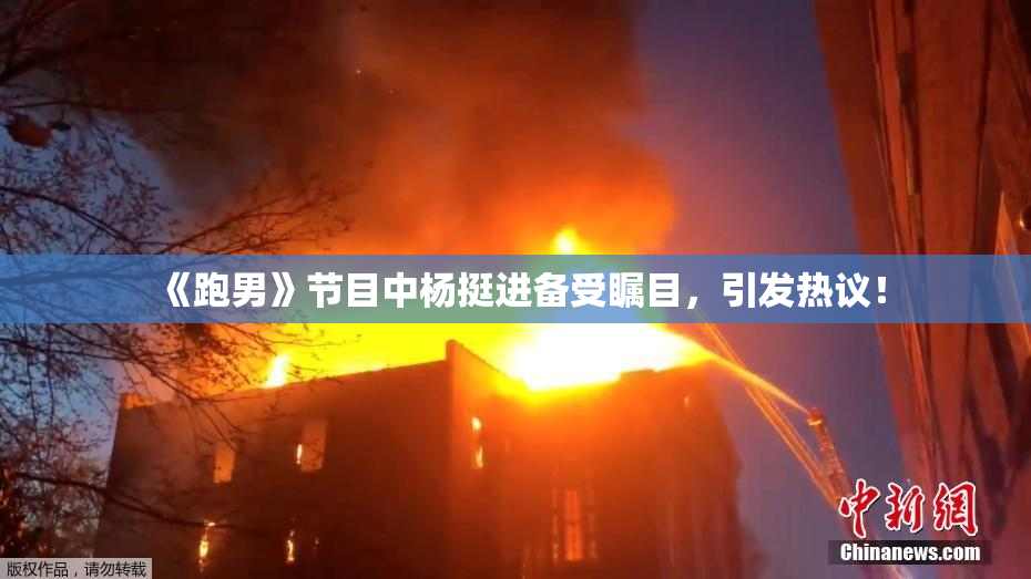 《跑男》节目中杨挺进备受瞩目，引发热议！