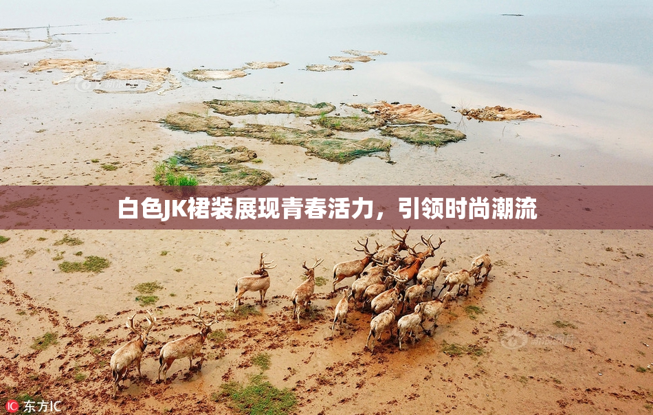 白色JK裙装展现青春活力，引领时尚潮流