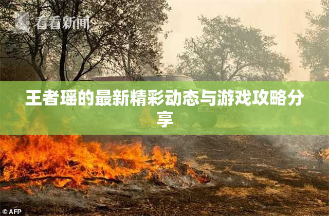 王者瑶的最新精彩动态与游戏攻略分享