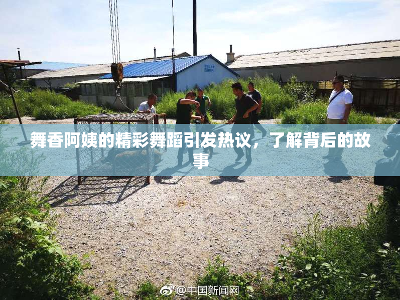 舞香阿姨的精彩舞蹈引发热议，了解背后的故事