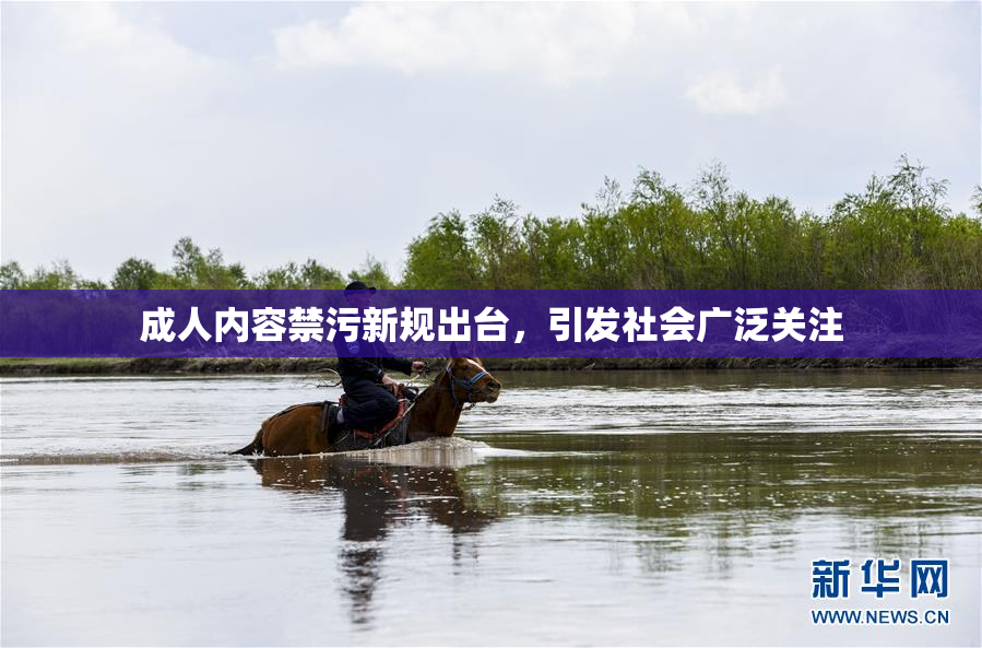 成人内容禁污新规出台，引发社会广泛关注