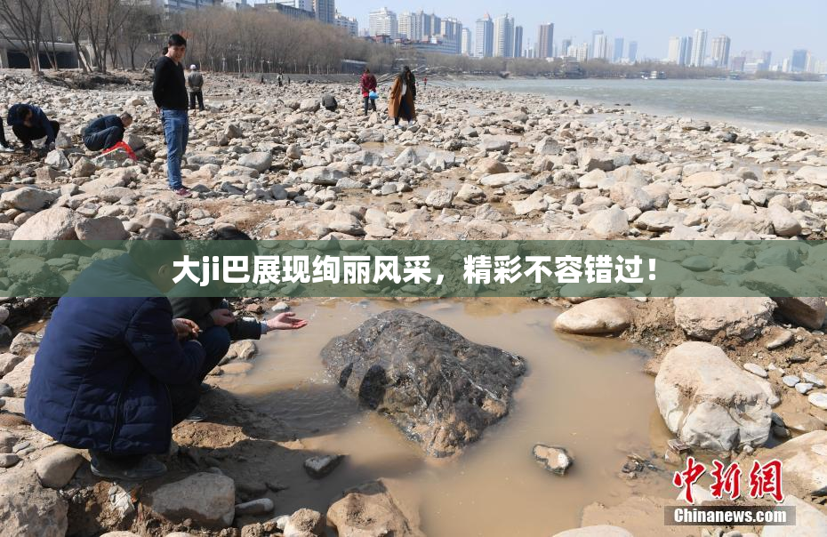 大ji巴展现绚丽风采，精彩不容错过！