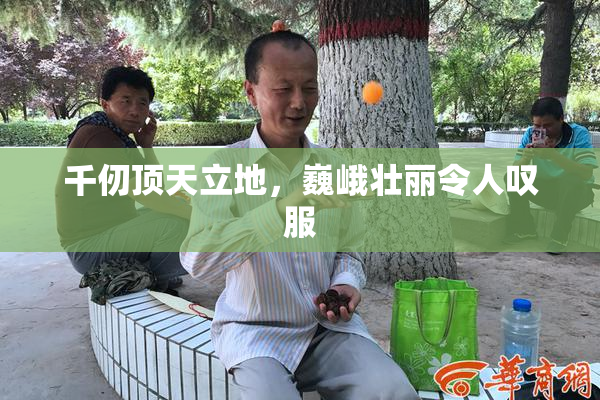 千仞顶天立地，巍峨壮丽令人叹服