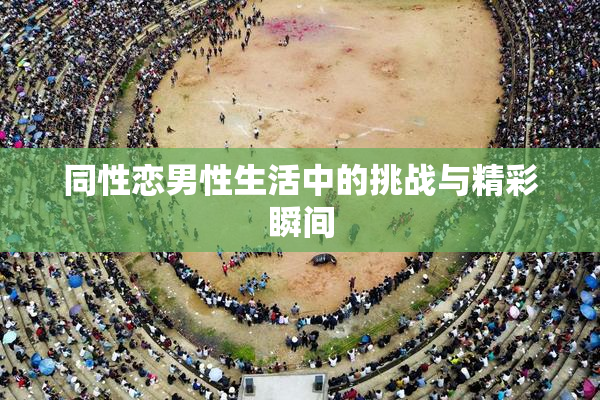 同性恋男性生活中的挑战与精彩瞬间