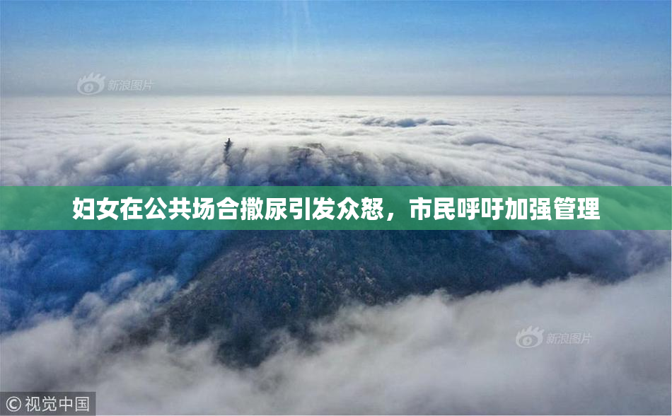 妇女在公共场合撒尿引发众怒，市民呼吁加强管理