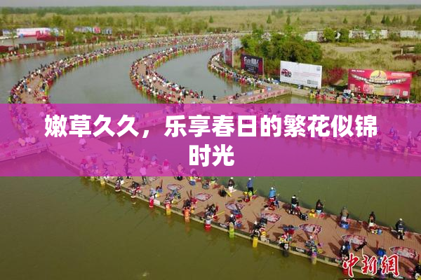 嫩草久久，乐享春日的繁花似锦时光