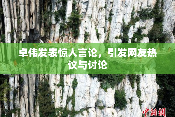 卓伟发表惊人言论，引发网友热议与讨论