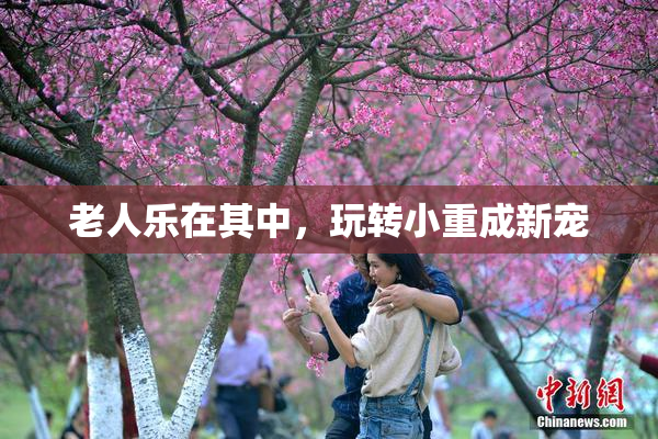 老人乐在其中，玩转小重成新宠