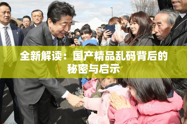 全新解读：国产精品乱码背后的秘密与启示