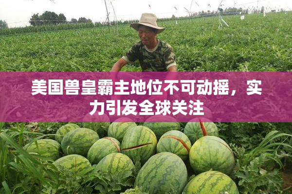 美国兽皇霸主地位不可动摇，实力引发全球关注