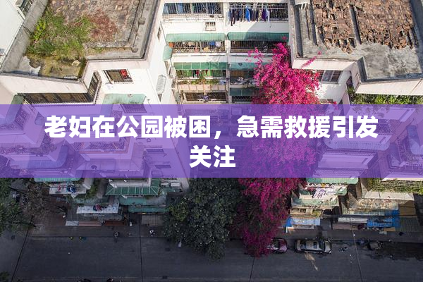 老妇在公园被困，急需救援引发关注