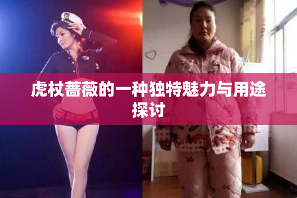 虎杖蔷薇的一种独特魅力与用途探讨