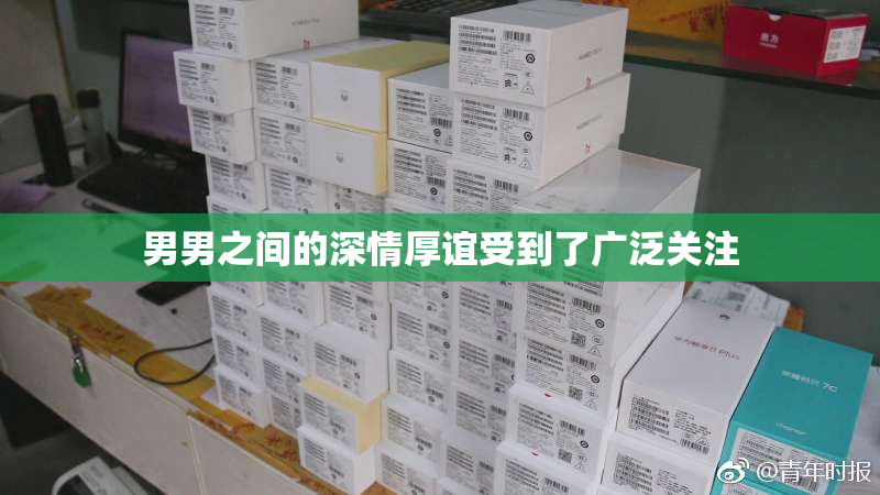 男男之间的深情厚谊受到了广泛关注